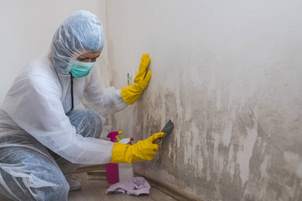 Best Mold Testing  in Santa Rosa, NM