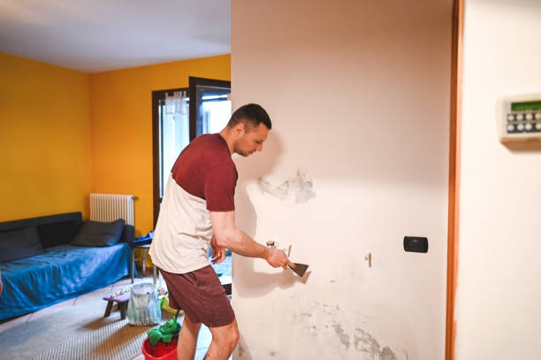 Best Mold Remediation  in Santa Rosa, NM